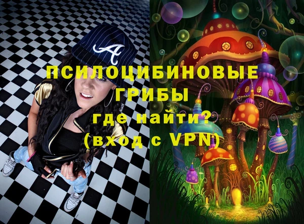 PSILOCYBIN Нея
