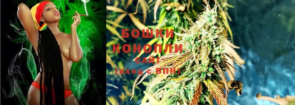 кокс Болотное