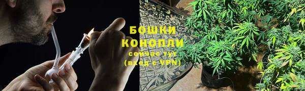 PSILOCYBIN Нея