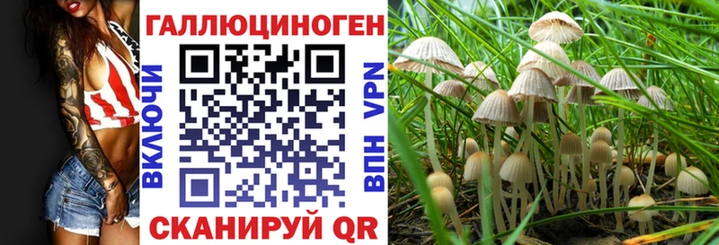 маркетплейс официальный сайт  Мензелинск  Псилоцибиновые грибы Psilocybine cubensis 